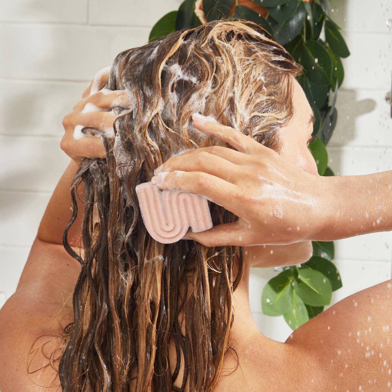 Argan Oil Shampoo Bar
